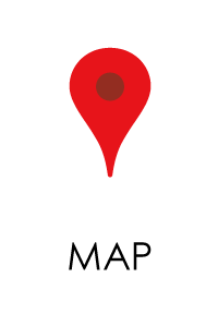 function google map